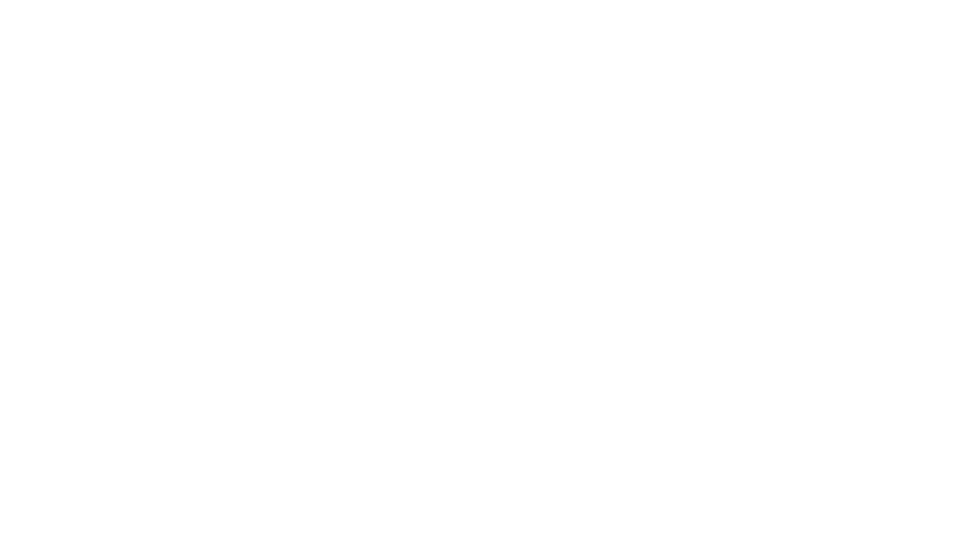 Integral Group